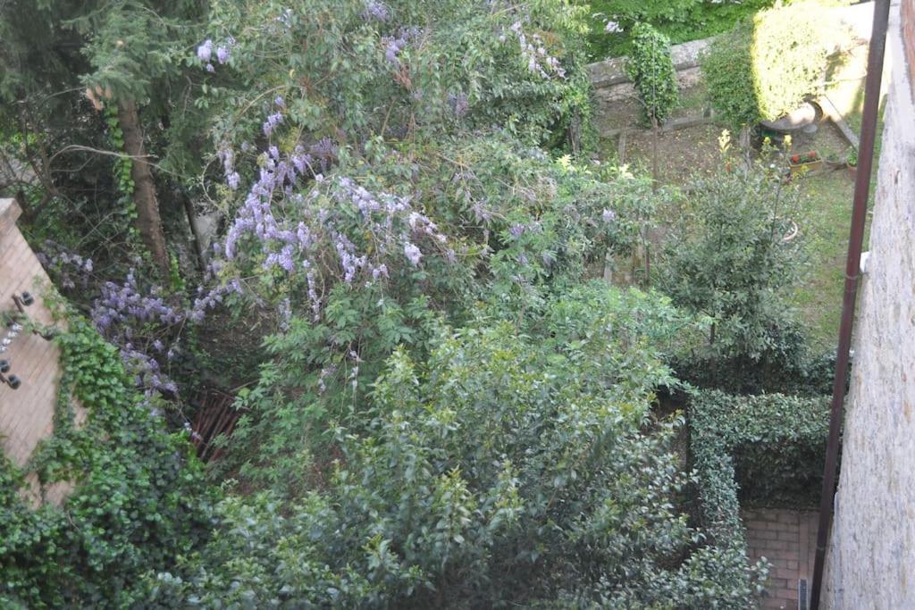 Il Profumo Del Lauro Apartman Perugia Kültér fotó