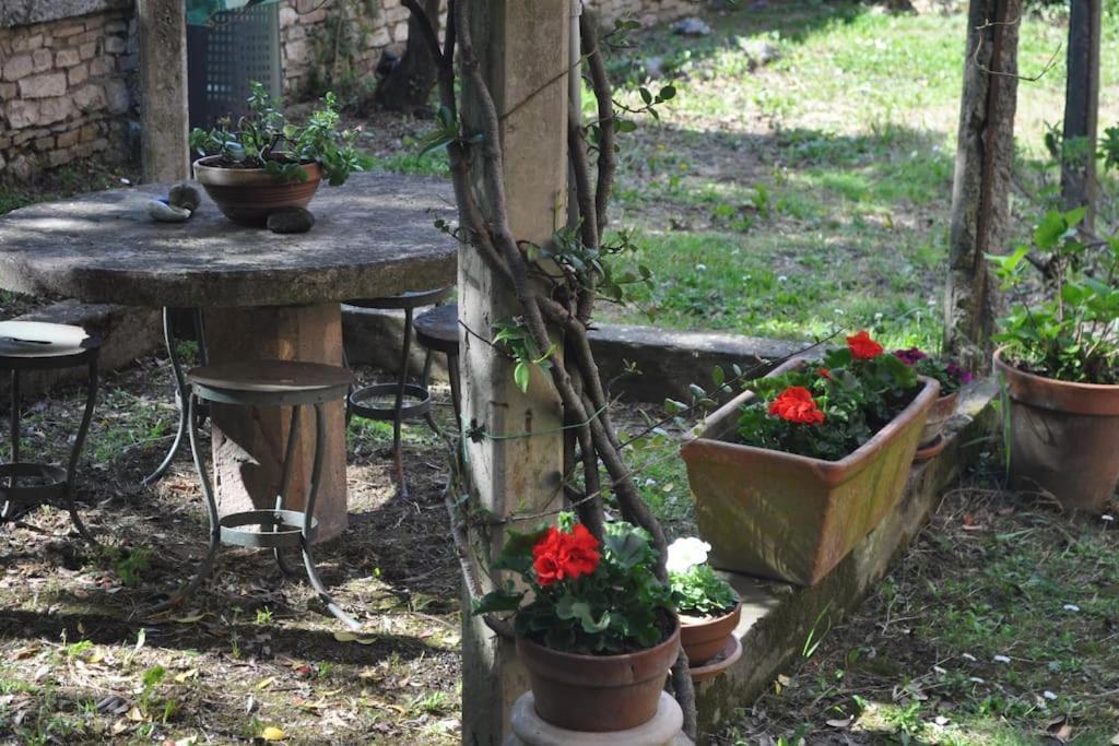 Il Profumo Del Lauro Apartman Perugia Kültér fotó
